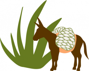 ilustracion burro